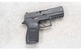 Sig Sauer ~ P320 ~ .45 ACP - 1 of 2