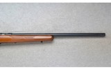 Marlin ~ 917V ~ .17 HMR - 4 of 10