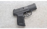 Sig Sauer ~ P365 ~ 9mm - 1 of 2