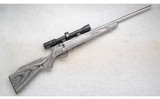 Savage ~ 93R17 ~ .17 HMR - 1 of 10