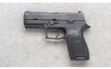Sig Sauer ~ P320 ~ .45 ACP - 2 of 2