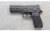 Sig Sauer ~ P250 ~ .40 S&W - 2 of 3