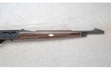 Remington ~ Nylon 77 ~ .22 LR - 4 of 10