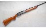 Remington ~ 740 Woodsmaster ~ .30-06 Sprg. - 1 of 10