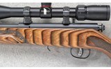 Savage ~ 93 ~ .22 WMR - 8 of 10