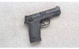 Smith & Wesson
M&P 380 Shield EZ M2.0
.380 ACP