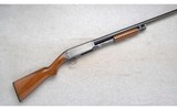 Remington ~ 17 ~ 20 Ga. ~ 2 Barrels and Stocks - 1 of 10