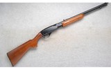 Remington ~ 572 Fieldmaster ~ .22 S, L or LR - 1 of 10