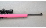 Ruger ~ 10/22 ~ .22 LR - 4 of 10