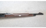 Remington ~ Nylon 66 ~ .22 LR Only - 4 of 10