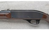 Remington ~ Nylon 66 ~ .22 LR Only - 8 of 10