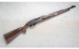 Remington ~ Nylon 66 ~ .22 LR Only - 1 of 10