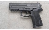 Sig Sauer ~ SP2022 ~ 9mm - 2 of 2