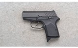 Remington ~ RM380 ~ .380 ACP - 2 of 2