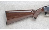 Remington ~ Nylon 66 ~ .22LR - 2 of 10