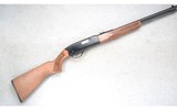 Winchester ~ 190 ~ .22 L or LR - 1 of 10