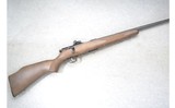 Savage ~ Mark II ~ .22 Long Rifle