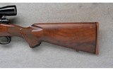 Winchester ~ 70 SA ~ 6mm Remington - 9 of 10