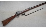 U.S. Springfield ~ 1884 ~ .45-70 Gov't. - 1 of 10