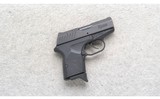 Remington ~ RM380 ~ .380 ACP