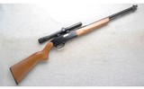 Winchester ~ 190 ~ .22 L or LR - 1 of 10