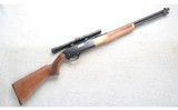 Winchester ~190 ~ .22 L or LR - 1 of 10