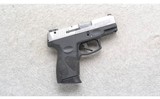 Taurus ~ PT111 G2 ~ 9mm