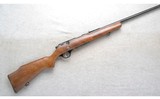 Glenfield ~ 25 ~ .22 S, L or LR - 1 of 10