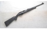 Mossberg ~ 702 Plinkster ~ .22 LR