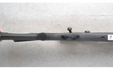 Remington ~ 700 ~ .30-06 Sprg. - 5 of 10