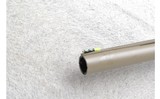 Winchester ~ SX4 ~ 12 gauge - 6 of 10