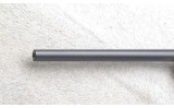 Savage ~ 110 ~ .204 Ruger - 5 of 9