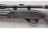 Remington ~ Nylon 66 ~ .22 LR Only - 8 of 10