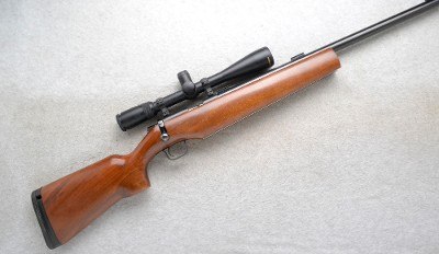 Kimber ~ 82 Government ~ .22 LR