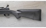 Howa ~ 1500 ~ .30-06 Sprg. - 9 of 10