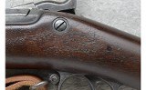 Springfield ~ 1888 ~ .45-70 Government ~ 8th NY Regiment - 11 of 11