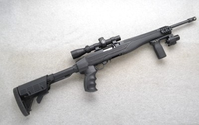 Ruger ~ 10/22 ~ .22 LR