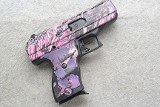 Hi-Point ~ CF380 ~ .380 ACP