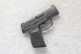 SIG Sauer ~ P365 ~ .380 ACP