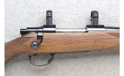 Sako ~ L579 ~ .243 Winchester - Image 3 of 10
