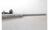 Ruger ~ 77/17 ~ .17 HMR - 4 of 10