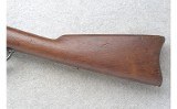Springfield Armory ~ Model 1873 Cadet ~ .45-70 Government - 9 of 13