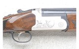 Pointer ~ KPS1012F28 ~ 12 Gauge - 3 of 10
