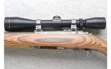 Ruger ~ All-Weather 77/22 ~ .22 WMR - 8 of 10