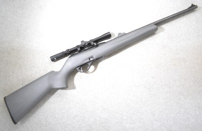 Remington ~ 597 ~ .22 Long Rifle