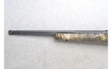 Savage ~ 110 ~ .22-250 Remington - 7 of 10
