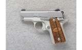 Kimber ~ Micro Raptor ~ .380 ACP - 2 of 2