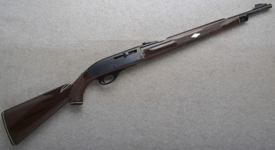 RemingtonNylon 66.22 Long Rifle