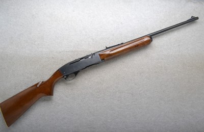 Remington ~ 740 ~ .30-06 Springfield