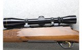 Golden Eagle ~ 7000 ~ .243 Win - 8 of 10